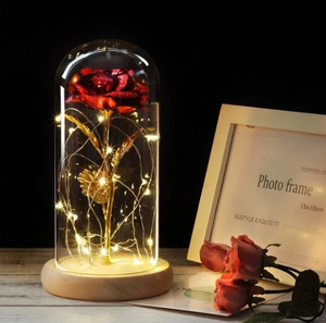 LED Enchanted Rose--Beauty and The Beast Rose in Glass Dome