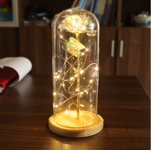 LED Enchanted Rose--Beauty and The Beast Rose in Glass Dome