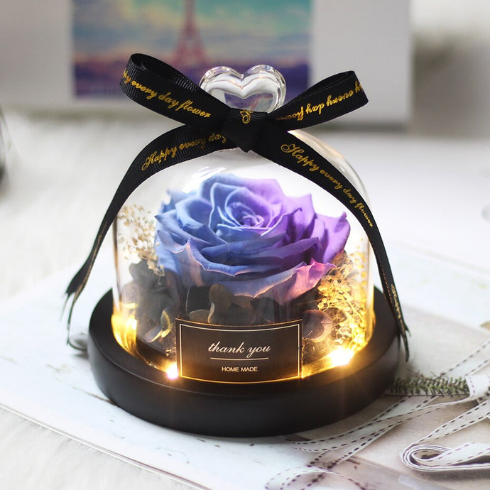 Preserved Real Rose in Glass Dome Gift